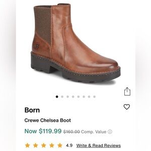 Born Crewe Chelsea Boot in Brown